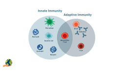 प्रतिरक्षा के प्रकार  (Types of Immunity)