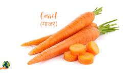 गाजर कब और कैसे खाएं? (When and How to Eat Carrots In Hindi)