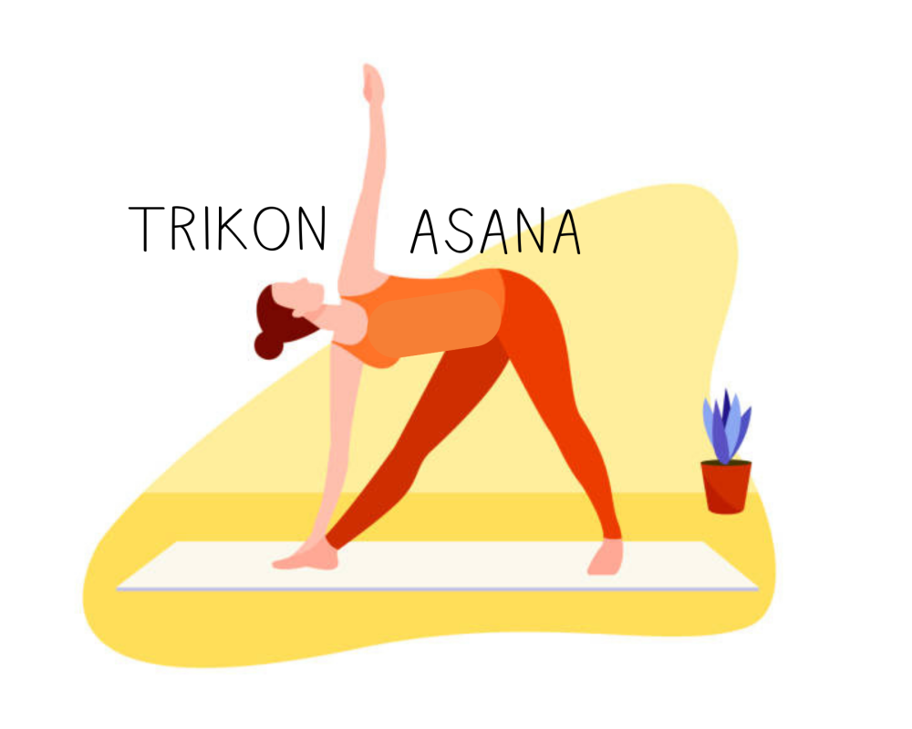 Woman silhouette in triangle yoga pose. Trikonasana pose in hatha yoga.  Vector illustration Stock Vector by ©liu_miu 545828248