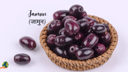 Jamun (Java Plum): जामुन ही नहीं, गुठली,पत्ते और सिरका  भी औषधि की तरह काम आता है।