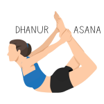 dhanurasana