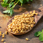 Fenugreek