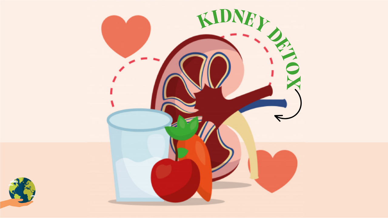 Kidney Detox: किडनी को नेचुरल तरीके से डिटॉक्स कैसे करें?